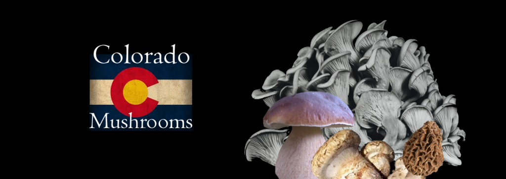 Mushrooms of Colorado