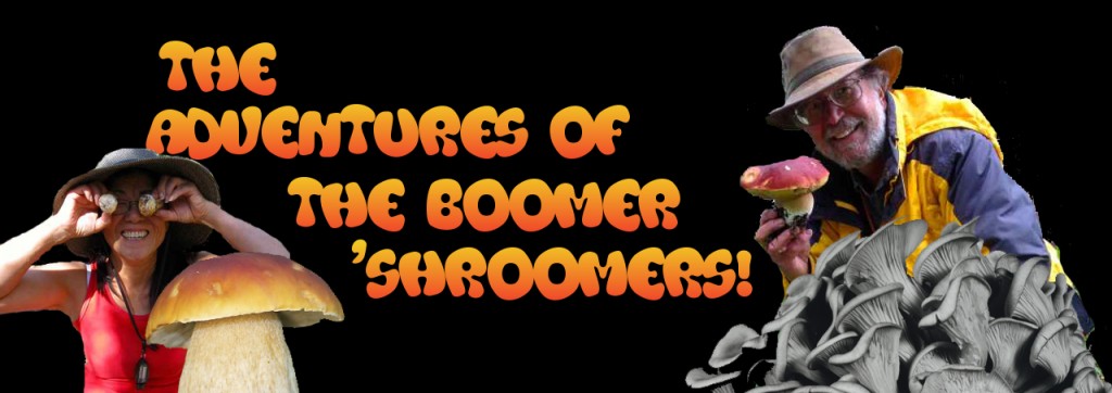 Adventure of the Boomer 'Shroomers!